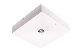 Oprawa sieciowo-awaryjna natynkowa STARLET QUAD SQ 250 CB / współpraca z centralną baterią / 86529
