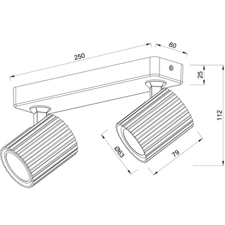 Lampa spot Tokio 2xGU10 biała
