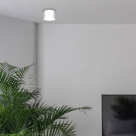Lampa sufitowa DIXIE White  1xGX53 biała
