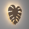 MONSTERA SABIA KINKIET  3