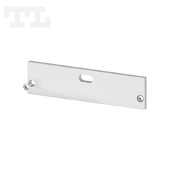 Zaślepka aluminiowa srebrna P20-1 z otworem (wkręty w komplecie) (nr kat 7720111)