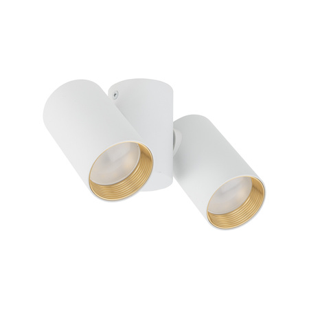 AMIS WHITE DOWNLIGHT 2xGU10