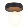 Lampa sufitowa BIANCA Black 1xG9