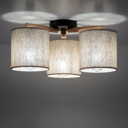 Lampa sufitowa DEVA NATURE 3xE27