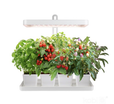 Lampa do roślin LED BLOOM 20W barwa ciepła 3500K