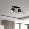 Lampa sufitowa DIXIE BLACK 2xGX53
