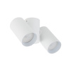 AMIS WHITE DOWNLIGHT 2xGU10