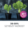 Lampa do roślin LED VERDI 10W barwa ciepła 3200K  ściemniana