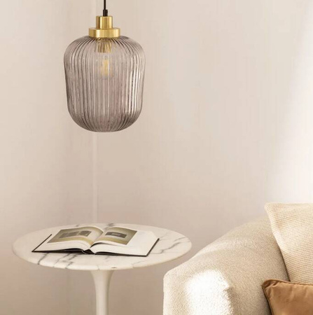 Lampa Wisząca z Metalu i Szkła Windsor 1xE27