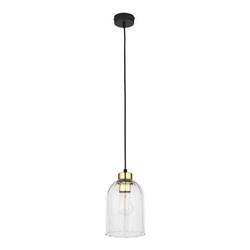 Lampa wisząca SATIPO Transparent 1xE27