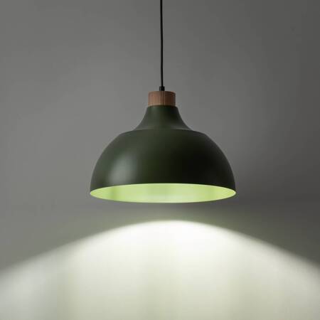 CAP GREEN LAMPA WISZĄCA 1 PŁ