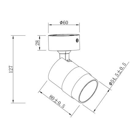 Lampa sufitowa Anillo 1xGU10 spot biały