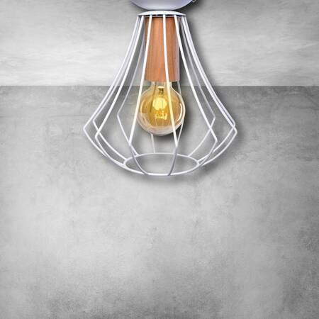 Lampa sufitowa WILL WHITE 1xE27