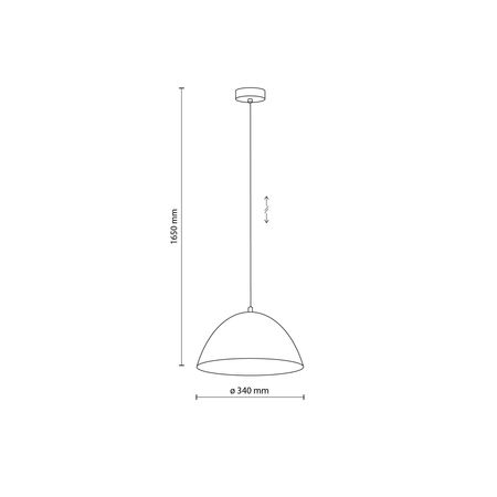 Lampa wisząca FARO Graphite 1xE27