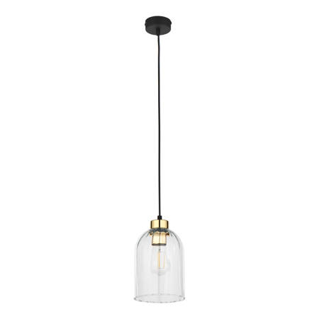 Lampa wisząca SATIPO Transparent 1xE27