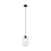 ELIO TRANSPARENT LAMPA WISZACA 1