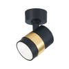 Lampa sufitowa Anillo 1xGU10 spot czarny