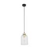 Lampa wisząca SATIPO Transparent 1xE27